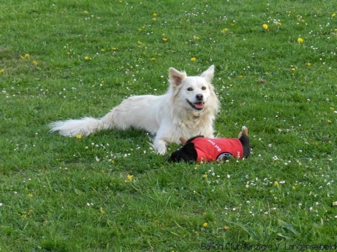 Hessekabb_Prog (6).JPG